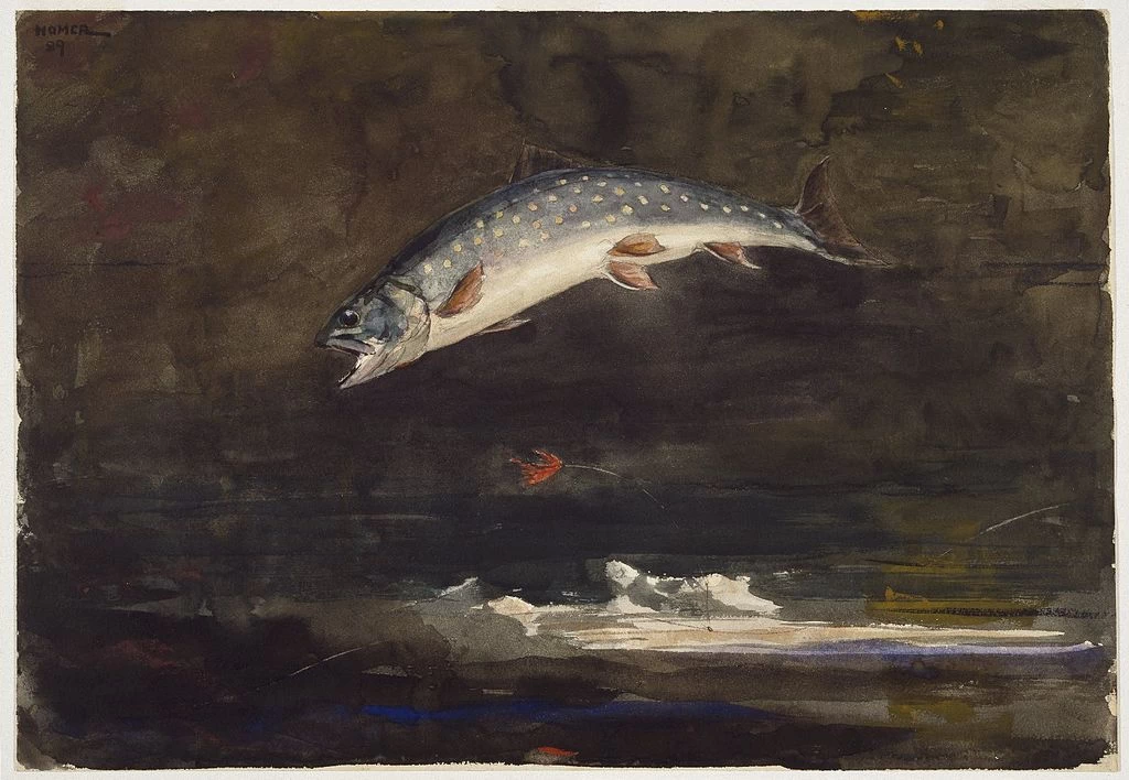 Salto della trota (1889) - Brooklyn Museum, New York City, NY